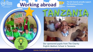 RDF Tanzania screenshot